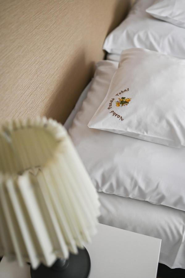 Bed and Breakfast Vasko Panzio Borpince Tokaj Esterno foto
